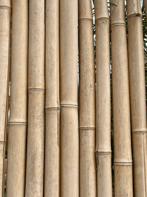 bambú en la construcción
