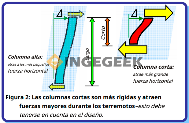 columna corta