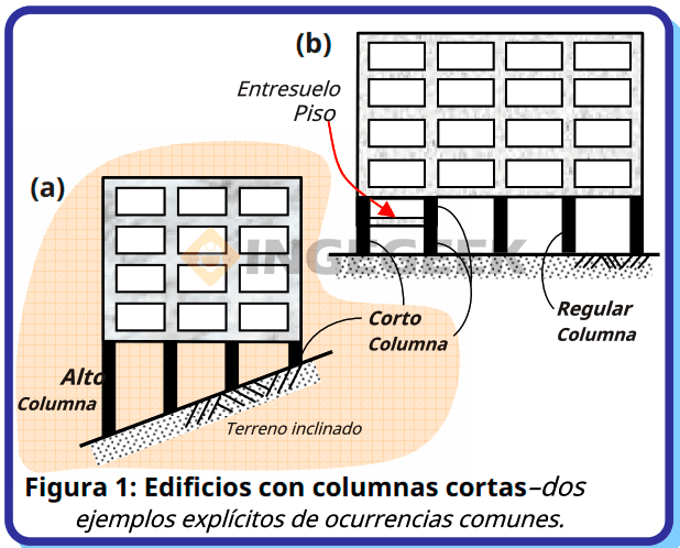 columna corta