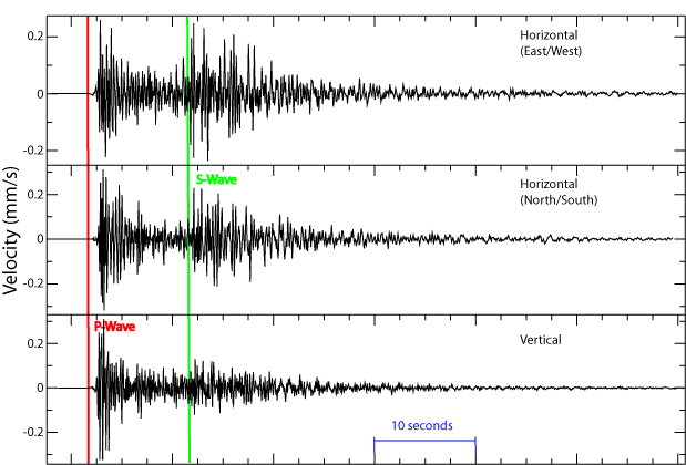 Tipos de Ondas Sísmicas